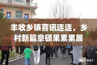丰收乡镇喜讯连连，乡村新篇章硕果累累展风采