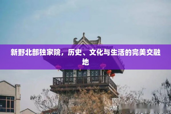 新野北部独家院，历史、文化与生活的完美交融地