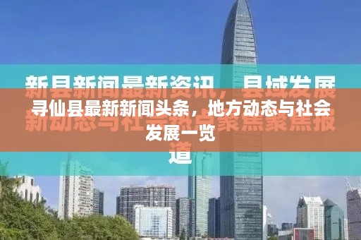 寻仙县最新新闻头条，地方动态与社会发展一览