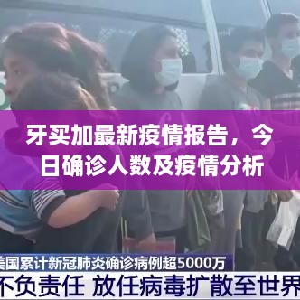 牙买加最新疫情报告，今日确诊人数及疫情分析概述