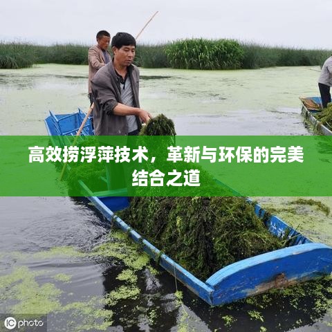 高效捞浮萍技术，革新与环保的完美结合之道