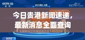 今日贵港新闻速递，最新消息全面查询