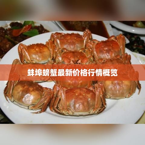 蚌埠螃蟹最新价格行情概览