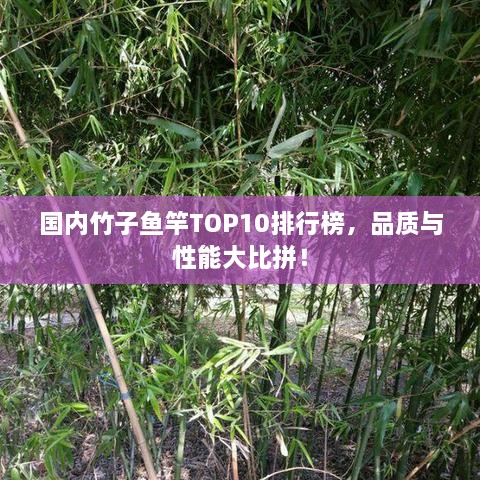 国内竹子鱼竿TOP10排行榜，品质与性能大比拼！