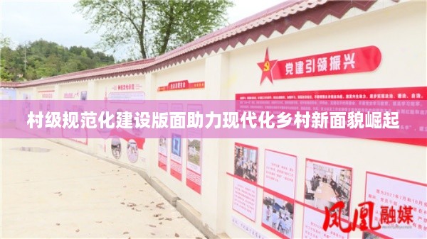 村级规范化建设版面助力现代化乡村新面貌崛起