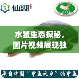 张弛不定 第2页