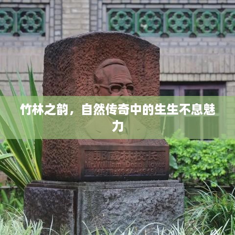 继晷焚膏 第2页