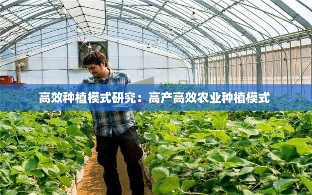 明夷于飞 第2页