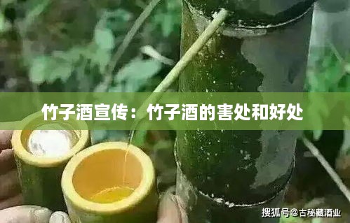 比翼鸟 第2页