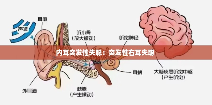 井蛙之见 第2页