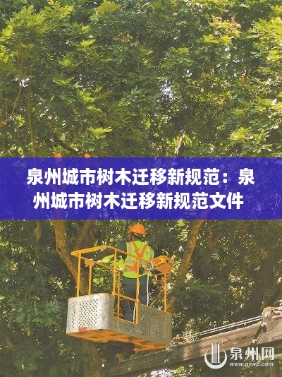 泉州城市树木迁移新规范：泉州城市树木迁移新规范文件 