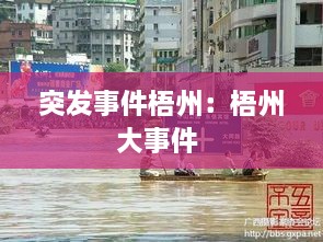 突发事件梧州：梧州大事件 