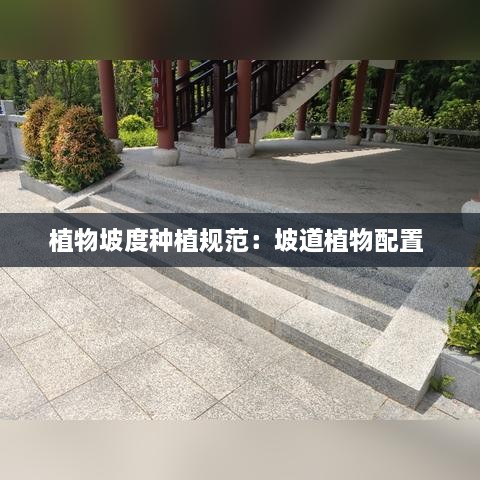 植物坡度种植规范：坡道植物配置 