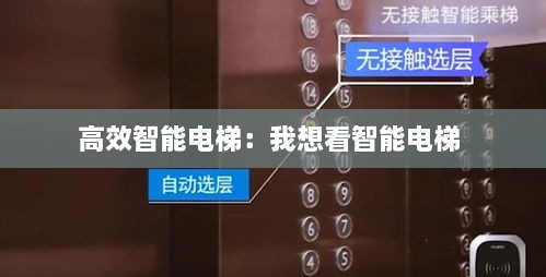 高效智能电梯：我想看智能电梯 
