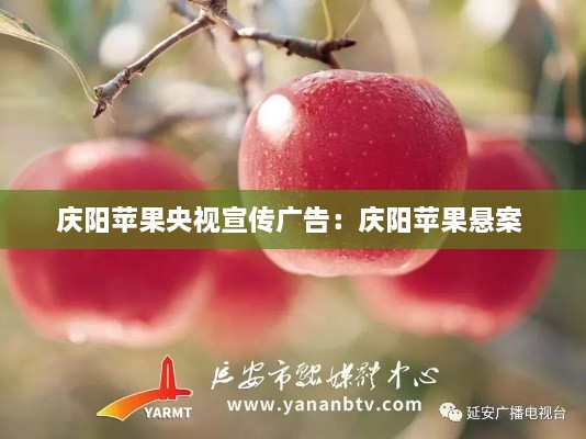 新闻 第274页