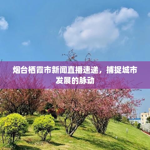 烟台栖霞市新闻直播速递，捕捉城市发展的脉动