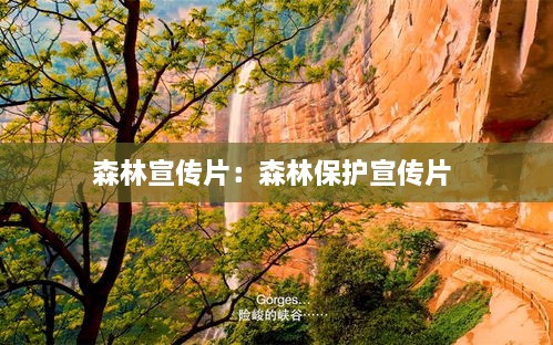 展翅欲飞 第2页