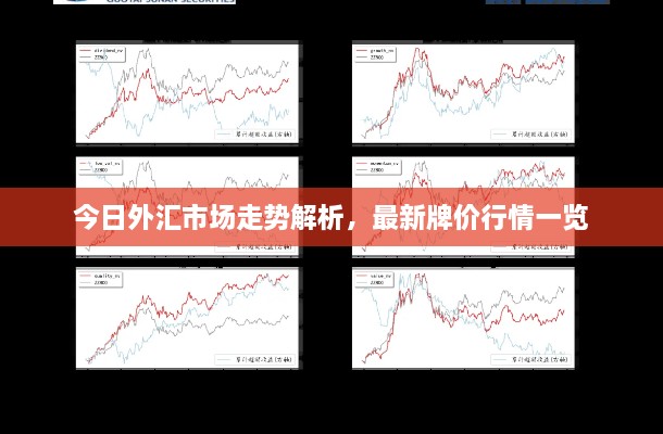 今日外汇市场走势解析，最新牌价行情一览