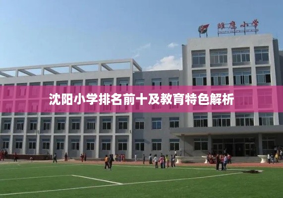 行将就木 第2页
