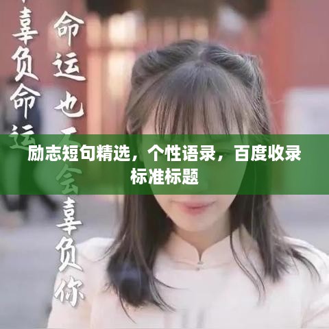 无影无踪 第2页