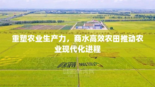 重塑农业生产力，商水高效农田推动农业现代化进程