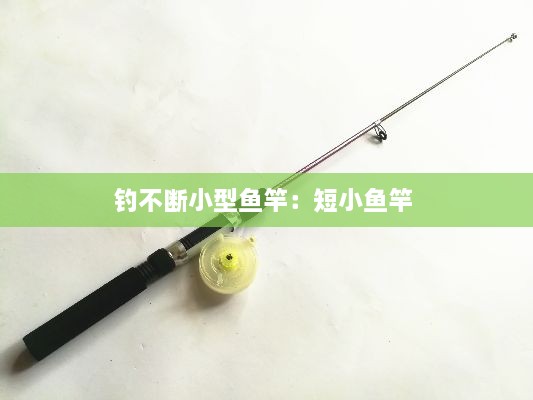 钓不断小型鱼竿：短小鱼竿 