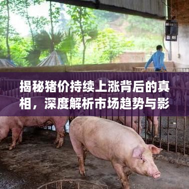 百鸟齐鸣 第2页