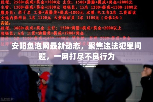 夯雀儿先飞 第2页