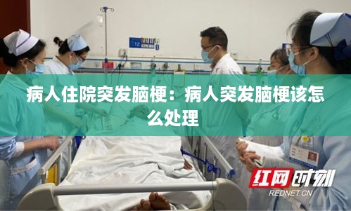 雅人清致 第2页