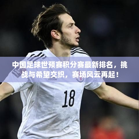中国足球世预赛积分赛最新排名，挑战与希望交织，赛场风云再起！