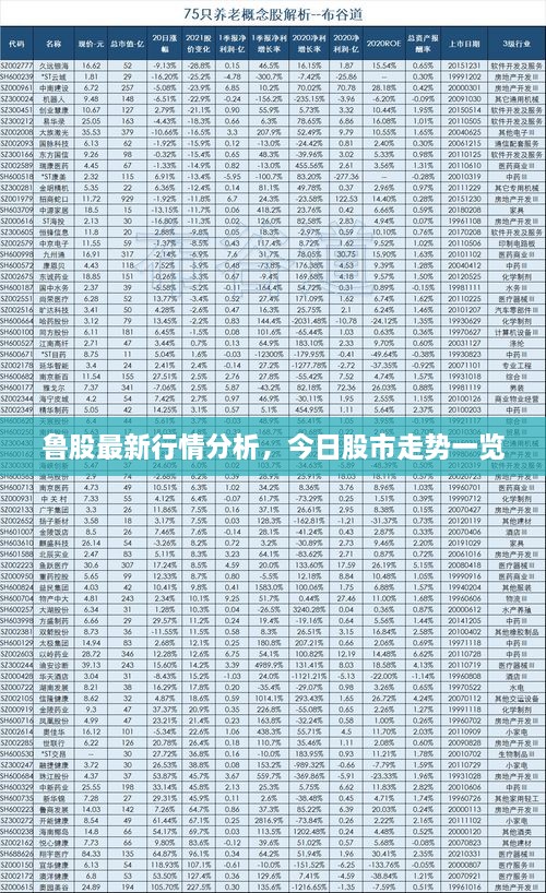 鲁股最新行情分析，今日股市走势一览