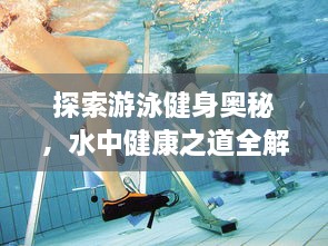 探索游泳健身奥秘，水中健康之道全解析