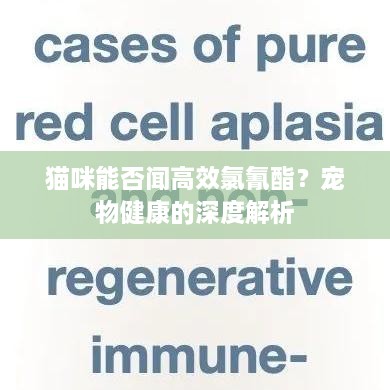 朴素无华 第2页