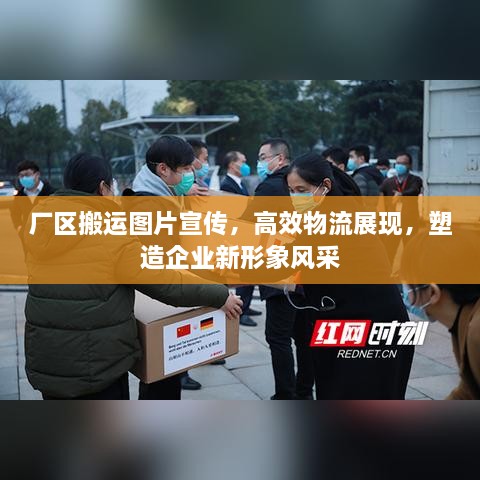 绝无仅有 第2页