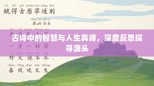 德才兼备 第2页