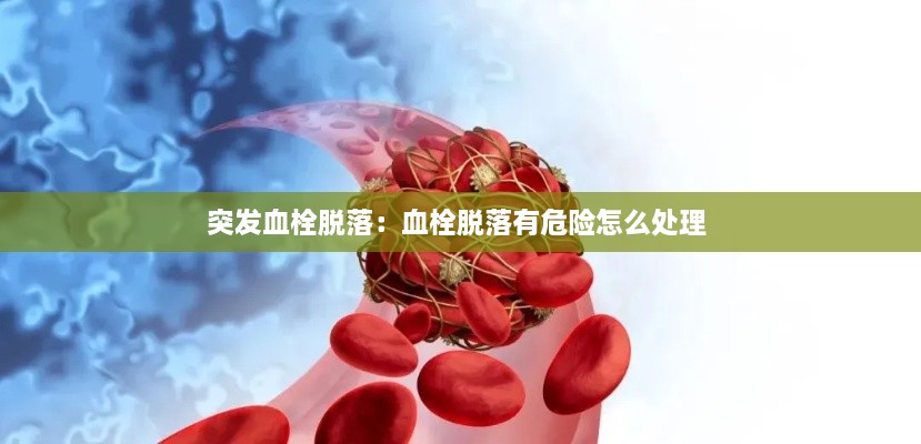 feihuangwuhu 第2页