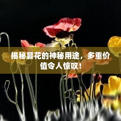不知就里 第2页