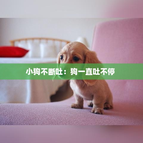 冰肌玉骨 第2页