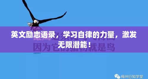 没精打采 第2页