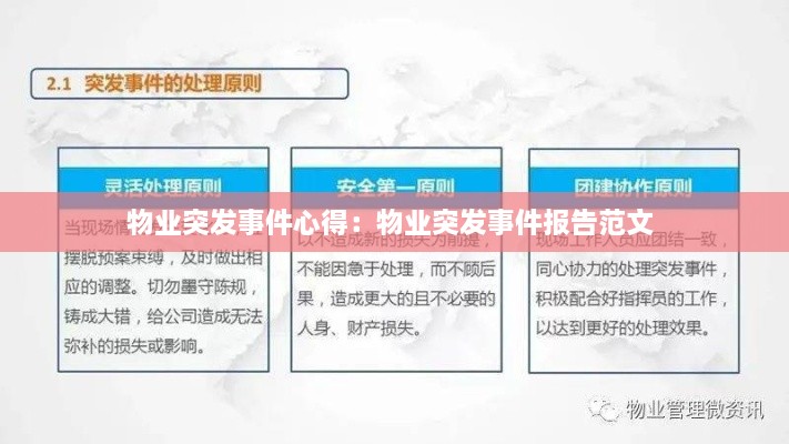 金石为开 第2页