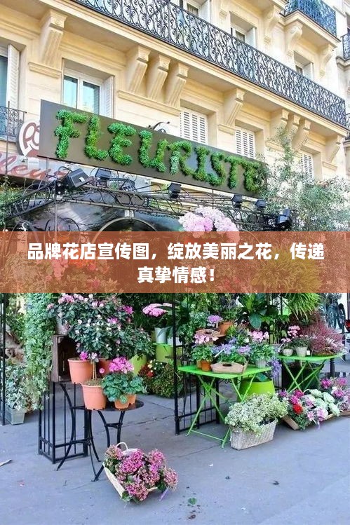 品牌花店宣传图，绽放美丽之花，传递真挚情感！