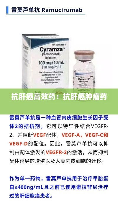 新闻 第206页