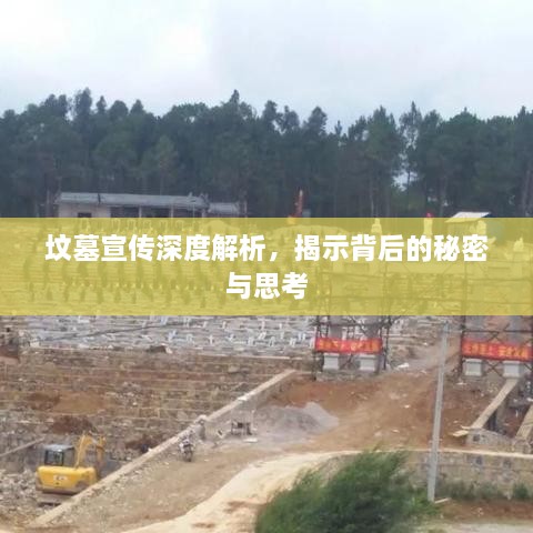 张袂成阴 第2页