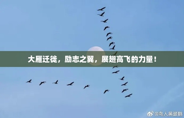 屈尊就卑 第2页