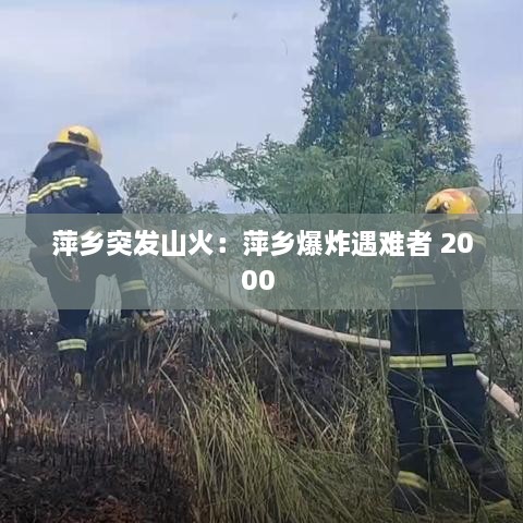 陈力就列 第2页