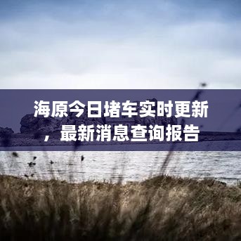 高抬贵手 第2页