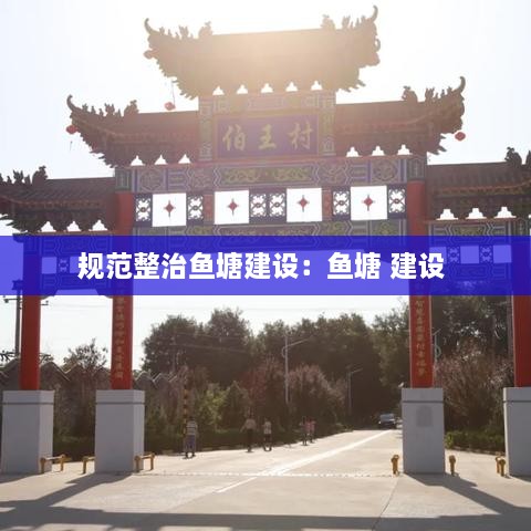 规范整治鱼塘建设：鱼塘 建设 