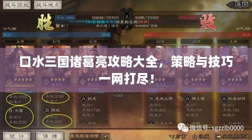口水三国诸葛亮攻略大全，策略与技巧一网打尽！