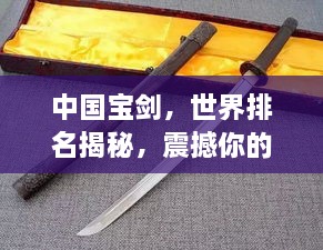 矢志不渝 第2页
