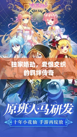 独家婚劫，爱恨交织的羁绊传奇